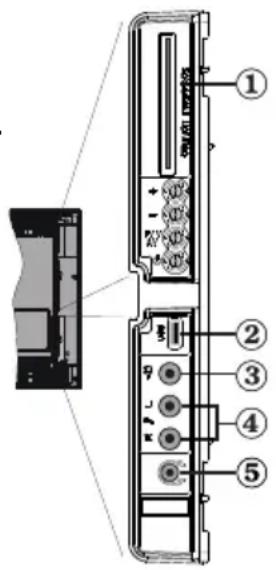 CONTINENTAL EDISON CETVLCD19SD3 - Affichage des branchements - Connecteurs latéraux - 1