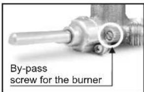 By-pass screw for the burner