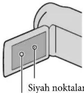 Siyah noktalar