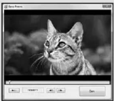 SONY DCR-SX20EK - Captura de fotografías de una película - 1