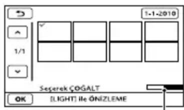 1-1-2010 1/1 Seşerek ÇOĞALT OK [LIGHT] İle ÖNİZLEME