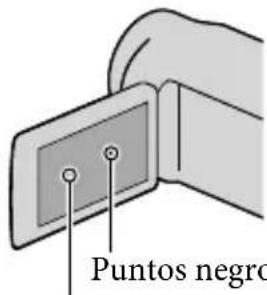 Puntos negro