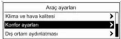 Araç ayarlan Klima ve hava kalitesi Konfor ayarlan Dış ortam aydınlatması