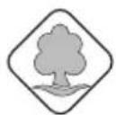 FORD Transit (2005) - RODAJ (ALIŞTIRMA) - 1
