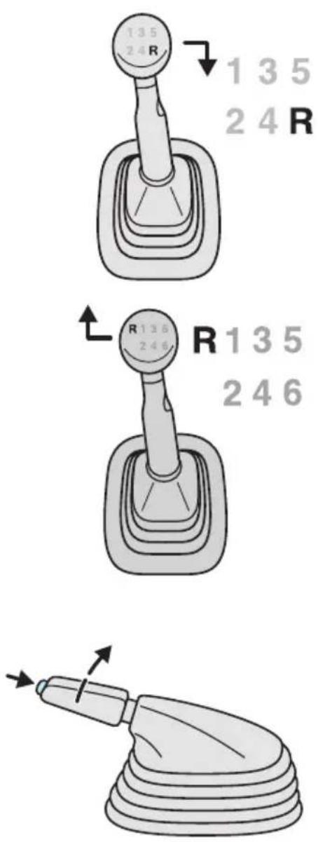 135 24R 1 3 5 2 4 R R136 246 R135 246