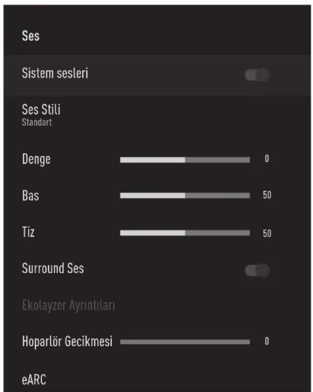 GRUNDIG 55 GGO 9900 B - Ses ayarları - 1