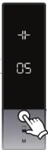 + 05 M