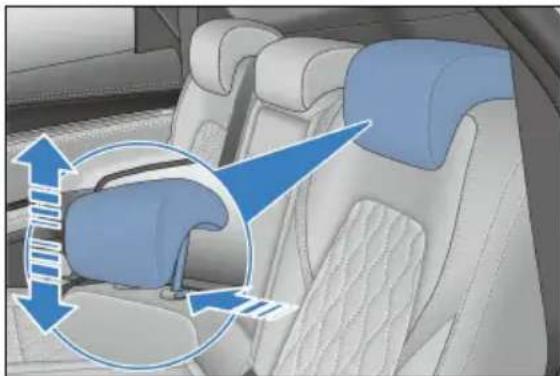 BYD TANG (2024) - Yüksekliği ayarlanabilir baş desteği: - 1