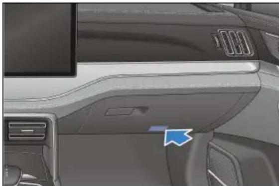 BYD TANG (2024) - Araç İsim Plakası - 6