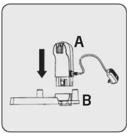 A B