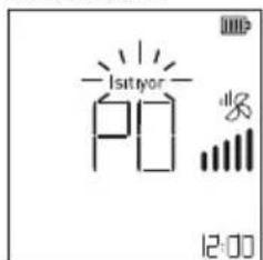 -Isityor P 8 12:00