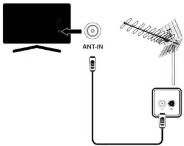 ANT-IN