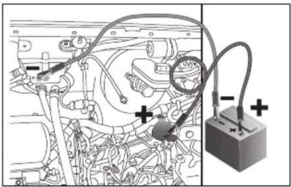 TOYOTA Proace Max (2025) - WARNING! - 2