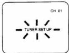 SYLVANIA 2945LF - CHANNEL SET UP (Automatic) - 5