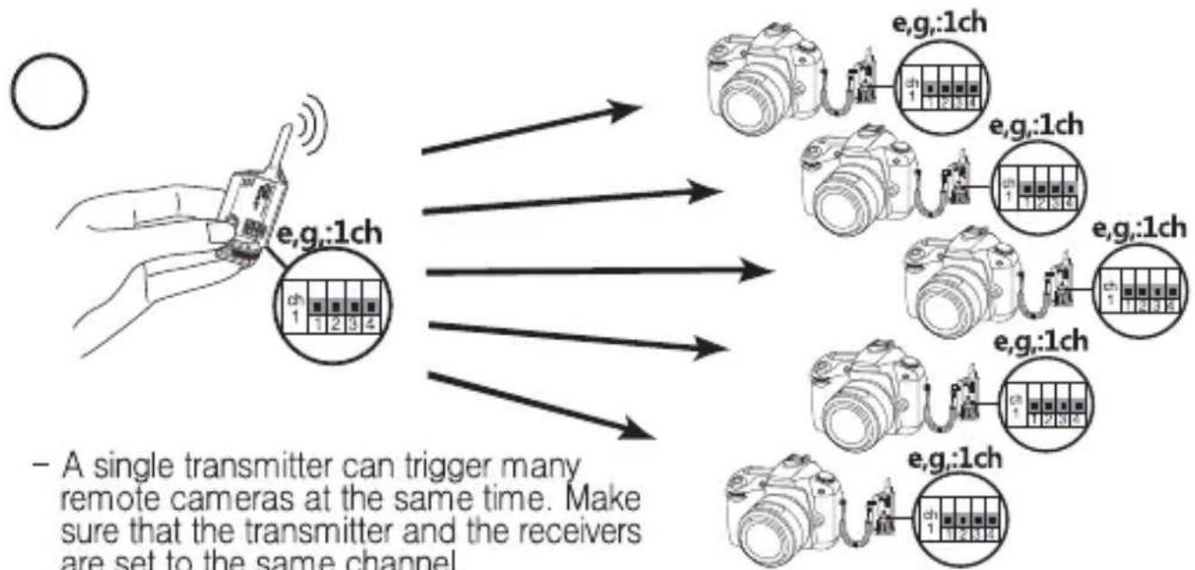 SMDV FW3 - hutter Release Mode - Correct Set Up - 2