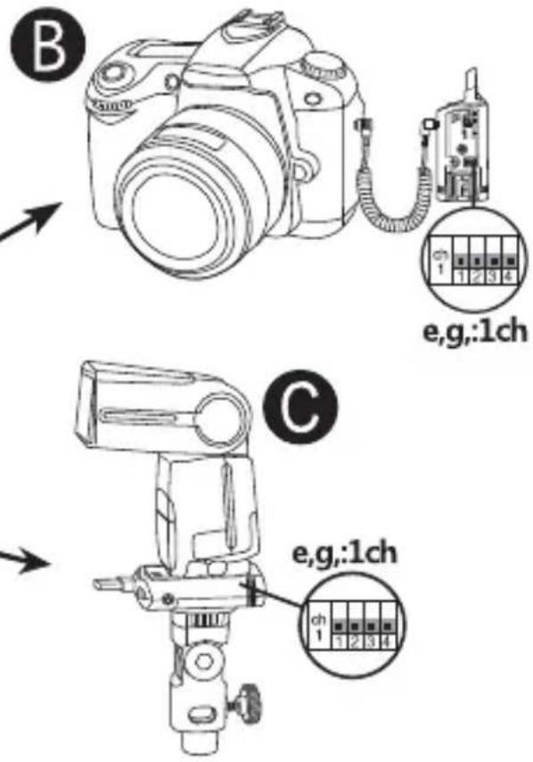 B e,g,:1ch C e,g,:1ch