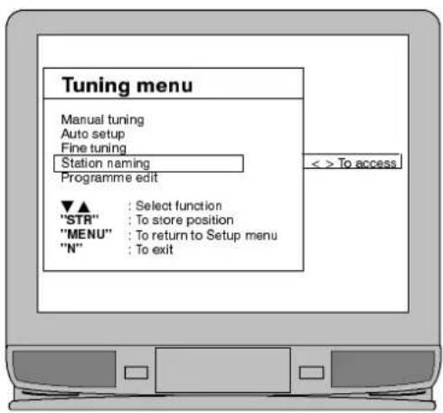 Tuning menu Manual tuning Auto setup Fine tuning Station naming Programme edit ▼▲ : Select function "STR" : To store position "MENU" : To return to Setup menu "N" : To exit < > To access