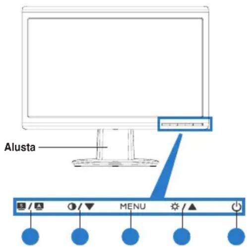 Alusta