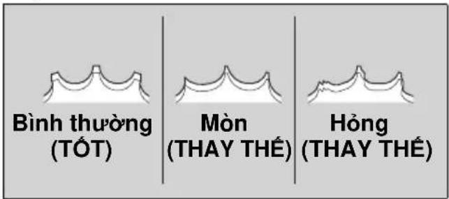 Bình thường (TỔT) Mòn (THAY THẾ) Hồng (THAY THẾ)