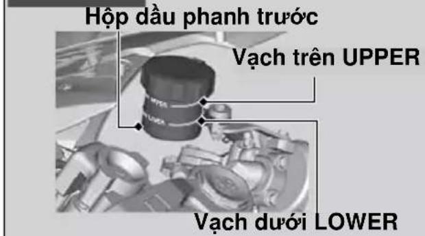 Hộp dàu phanh trước Vạch trên UPPER Vạch dưới LOWER