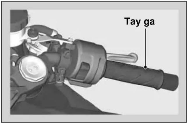 Tay ga