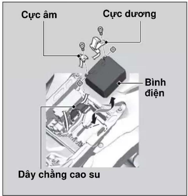 Cực âm Cực dương Bình điện Dây chằng cao su