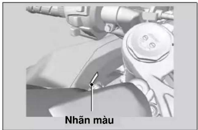 Nhân màu