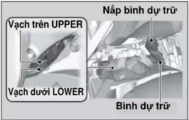 Vạch trên UPPER Vạch dưới LOWER Nắp bình dự trữ Bình dự trữ