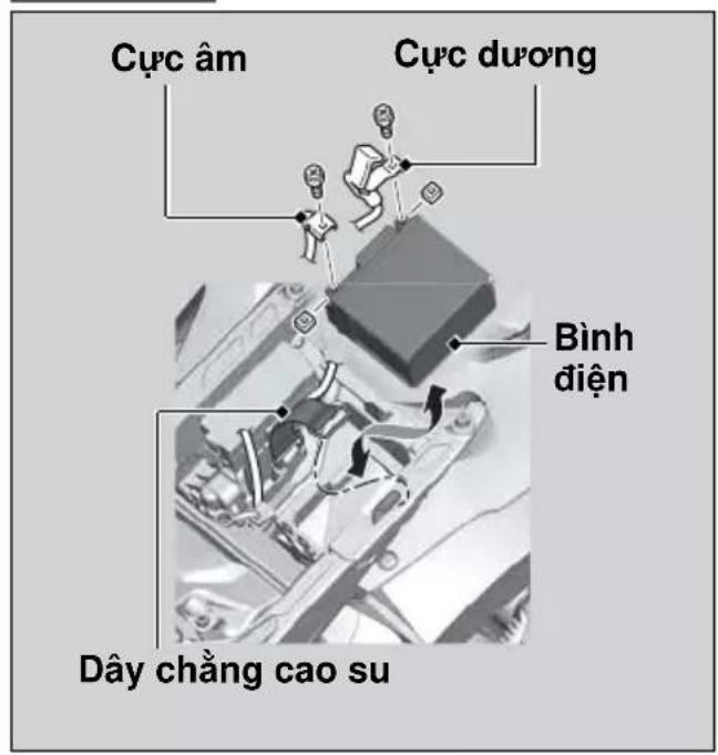 Cực âm Cực dương Bình điện Dây chằng cao su