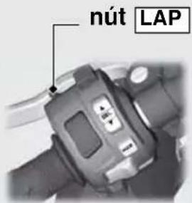 nút LAP