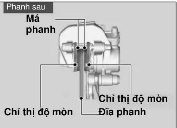 Phanh sau Má phanh Chỉ thị độ mòn Chỉ thị độ mòn Đĩa phanh