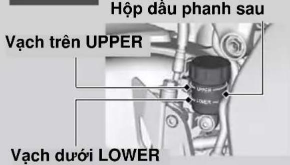 Hộp dâu phanh sau Vạch trên UPPER Vạch dưới LOWER
