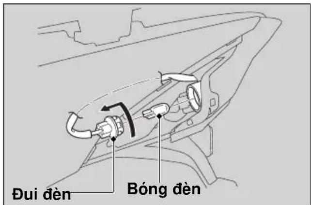 Đui đèn Bóng đèn