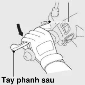 Tay phanh sau