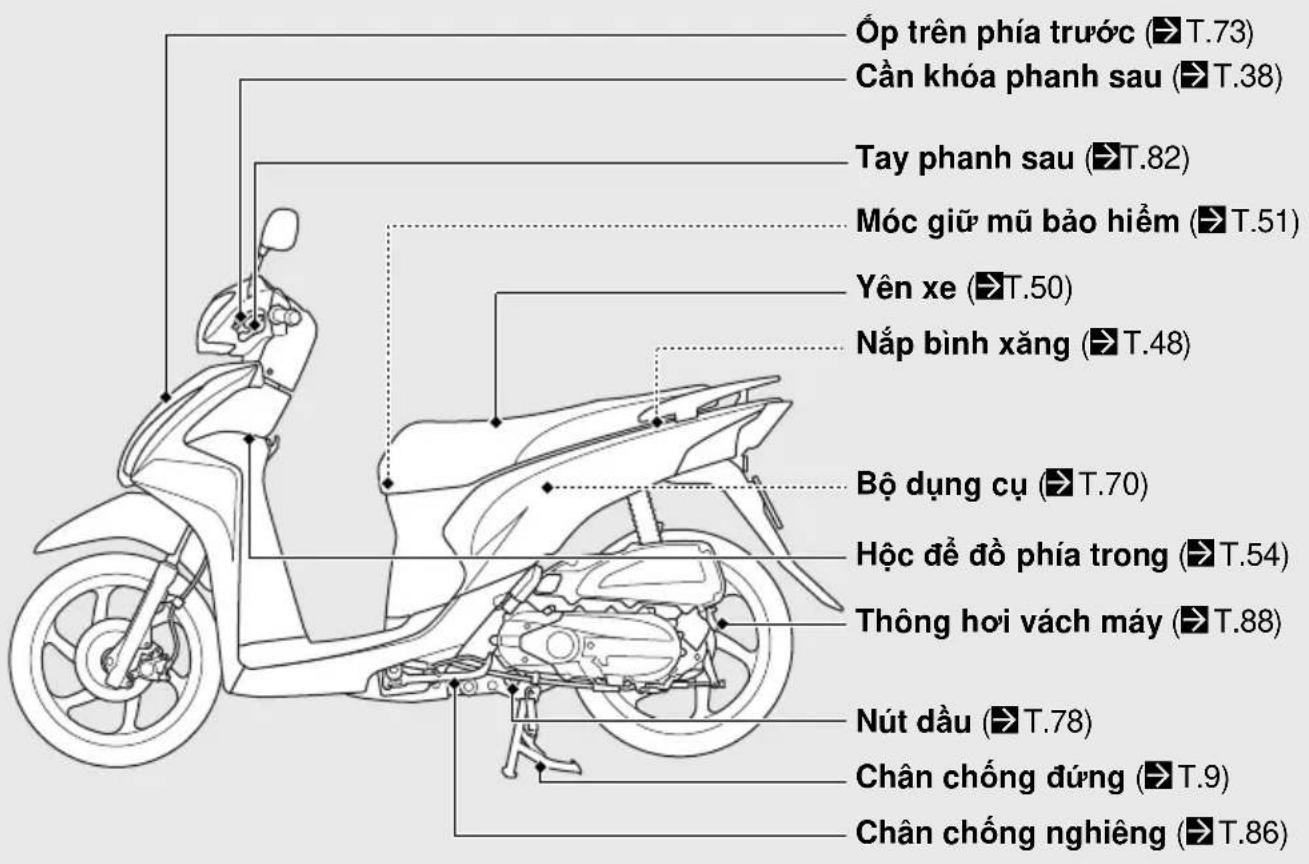 Óp trên phía trước (T.73) Cần khóa phanh sau (T.38) Tay phanh sau (T.82) Móc giữ mũ bảo hiểm (T.51) Yên xe (T.50) Nắp bình xăng (T.48) Bộ dụng cụ (T.70) Hộc đề đồ phía trong (T.54) Thông hơi vách máy (T.88) Nút dầu (T.78) Chân chống đúng (T.9) Chân chống nghiêng (T.86)
