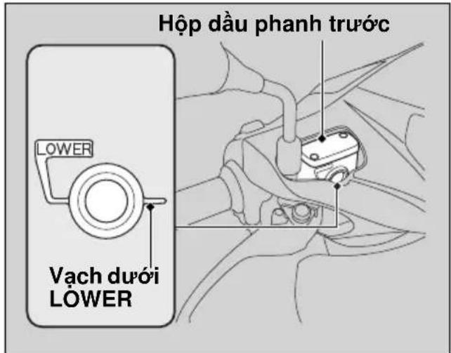 Hộp dầu phanh trước LOWER Vạch dưới LOWER