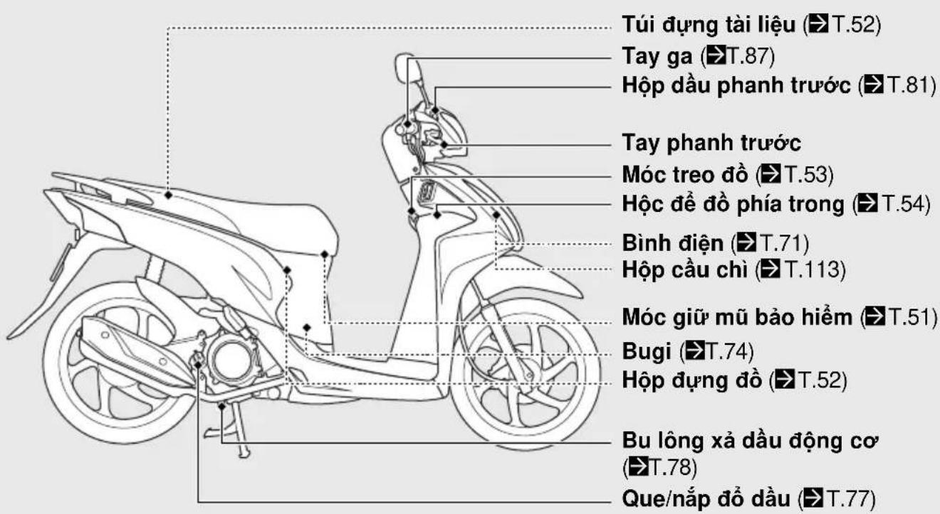 Túi dựng tài liệu (T.52) Tay ga (T.87) Hộp đầu phanh trước (T.81) Tay phanh trước Móc treo đồ (T.53) Hộc để đồ phía trong (T.54) Bình điện (T.71) Hộp cầu chỉ (T.113) Móc giữ mũ bảo hiểm (T.51) Bugi (T.74) Hộp dựng đồ (T.52) Bu lông xả đầu động cơ (T.78) Que/nắp đồ đầu (T.77)