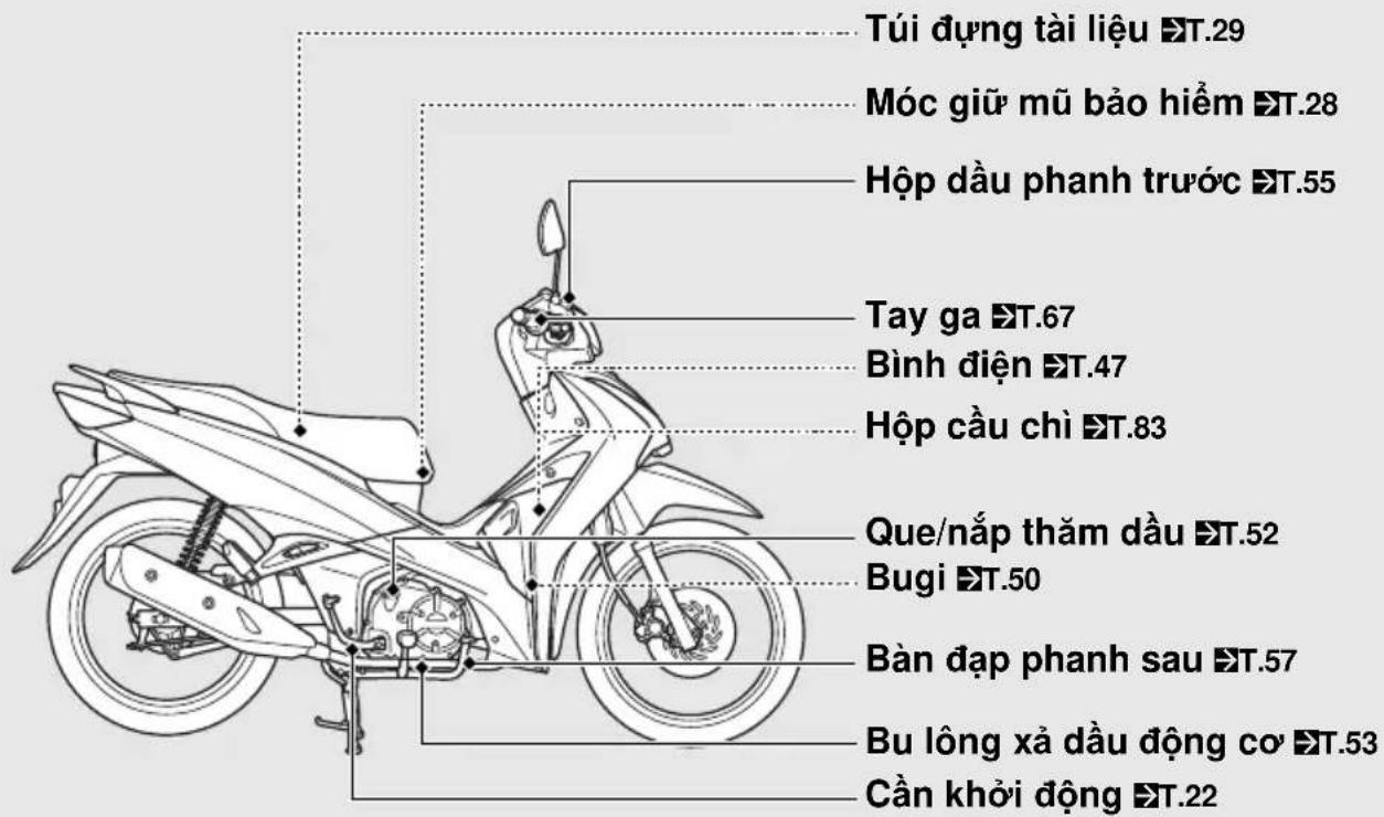 Túi dựng tài liệu ▶T.29 Móc giữ mũ bảo hiểm ▶T.28 Hộp dầu phanh trước ▶T.55 Tay ga ▶T.67 Bình điện ▶T.47 Hộp cầu chỉ ▶T.83 Que/nắp thăm dầu ▶T.52 Bugi ▶T.50 Bàn đạp phanh sau ▶T.57 Bu lông xả dầu động cơ ▶T.53 Cần khởi động ▶T.22