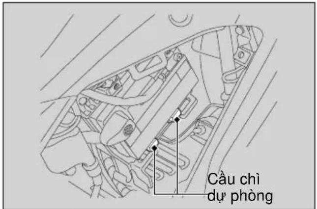 Cầu chỉ dự phòng