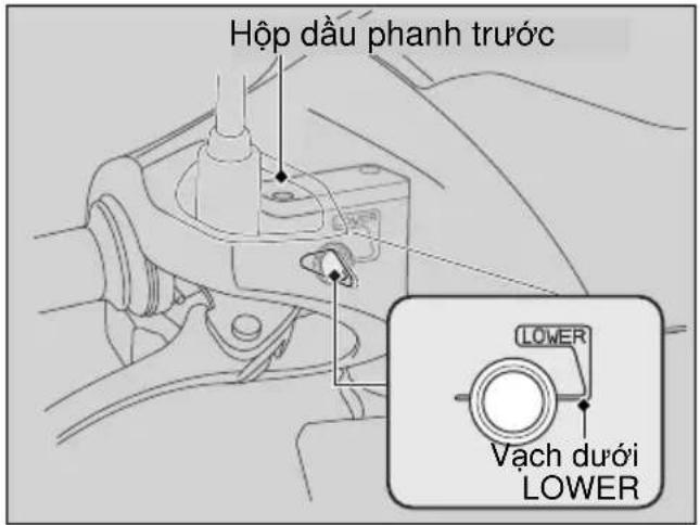 Hộp dàu phanh trước LOWER Vạch dưới LOWER
