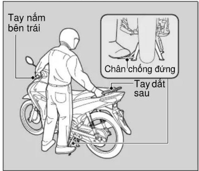 Tay nám bên trái Chân chống đứng Tay đất sau