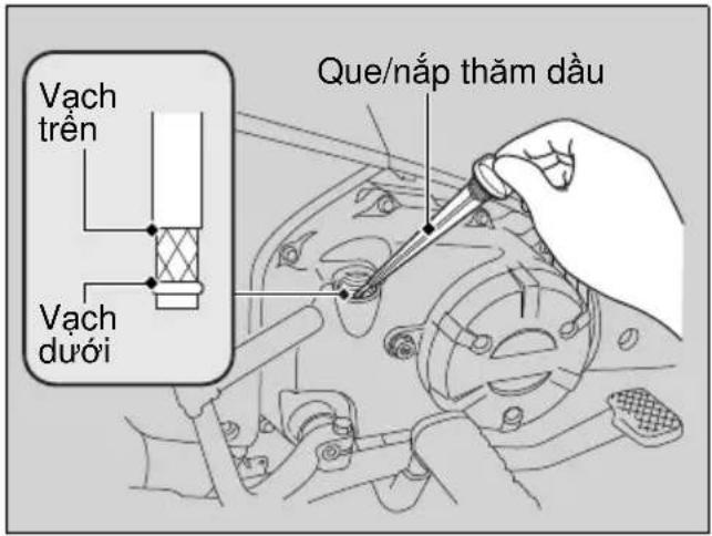 Vạch trên Vạch dưới Que/nắp thảm dầu