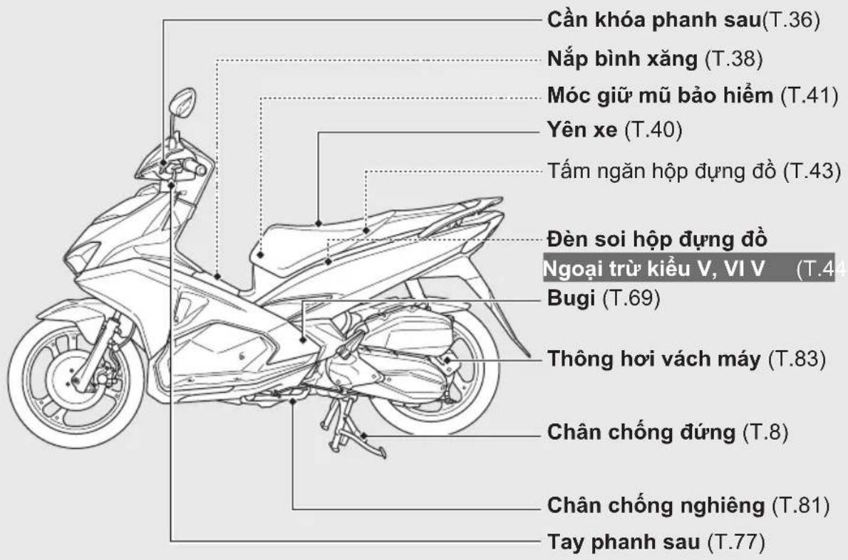 Cần khóa phanh sau(T.36) Nắp bình xăng (T.38) Móc giữ mũ bảo hiểm (T.41) Yên xe (T.40) Tấm ngăn hộp dựng đồ (T.43) Đèn soi hộp dựng đồ Ngoại trừ kiểu V, VI V (T.44) Bugi (T.69) Thông hơi vách máy (T.83) Chân chống đúng (T.8) Chân chống nghiêng (T.81) Tay phanh sau (T.77)