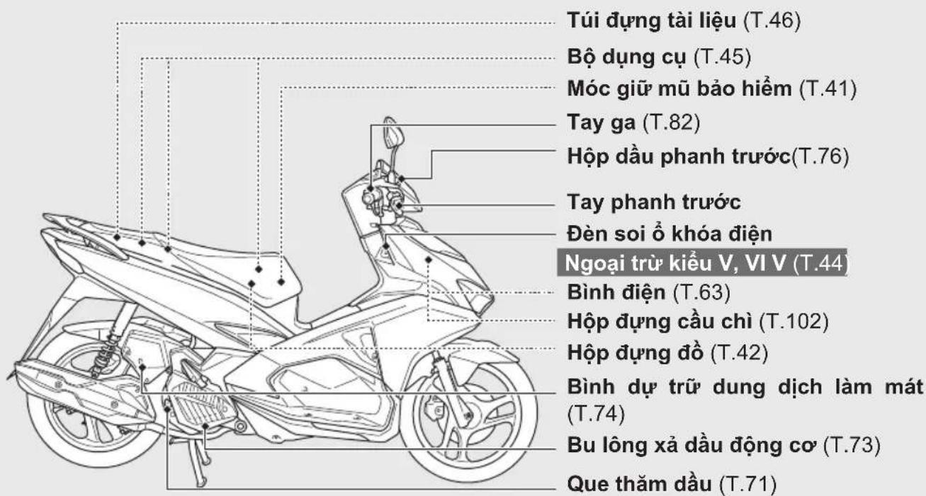 Túi dựng tài liệu (T.46) Bộ dụng cụ (T.45) Móc giữ mũ bảo hiểm (T.41) Tay ga (T.82) Hộp dầu phanh trước(T.76) Tay phanh trước Đèn soi ô khóa điện Ngoại trừ kiểu V, VI V (T.44) Bình điện (T.63) Hộp dựng cầu chỉ (T.102) Hộp dựng đồ (T.42) Bình dự trữ dung dịch làm mát (T.74) Bu lông xả dầu động cơ (T.73) Que thăm dầu (T.71)