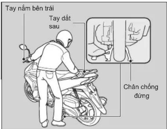Tay nám bên trái Tay đất sau Chân chống dùng
