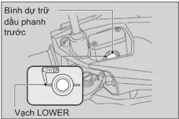 Bình d'ay trù dàu phanh trùc LOWER Vach LOWER