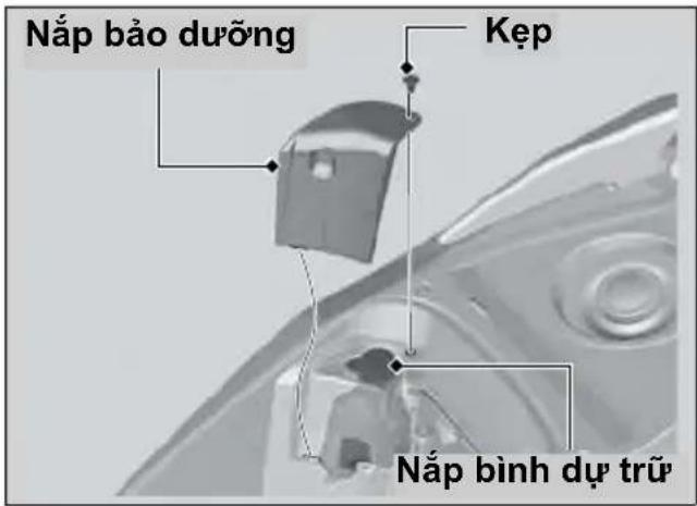 Nắp bảo dưỡng Kẹp Nắp bình dự trữ