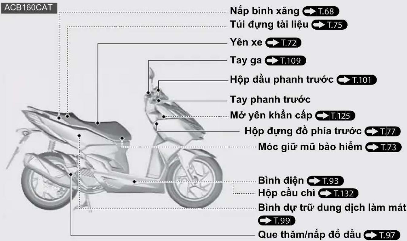 ACB160CAT Nắp bình xăng →T.68 Túi dựng tài liệu →T.75 Yên xe →T.72 Tay ga →T.109 Hộp dầu phanh trước →T.101 Tay phanh trước Mở yên khẩn cấp →T.125 Hộp dựng đồ phía trước →T.77 Móc giữ mũ bảo hiểm →T.73 Bình điện →T.93 Hộp cầu chỉ →T.132 Bình dự trữ dung dịch làm mát →T.99 Que thăm/nắp đồ dầu →T.97