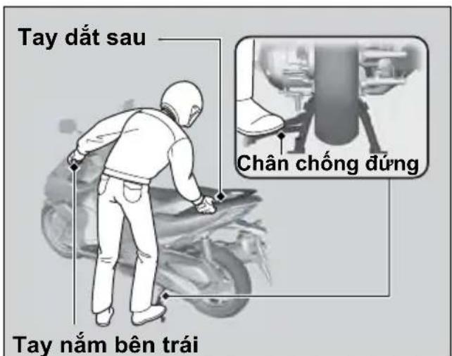 Tay đất sau Chân chống đúng Tay nằm bên trái