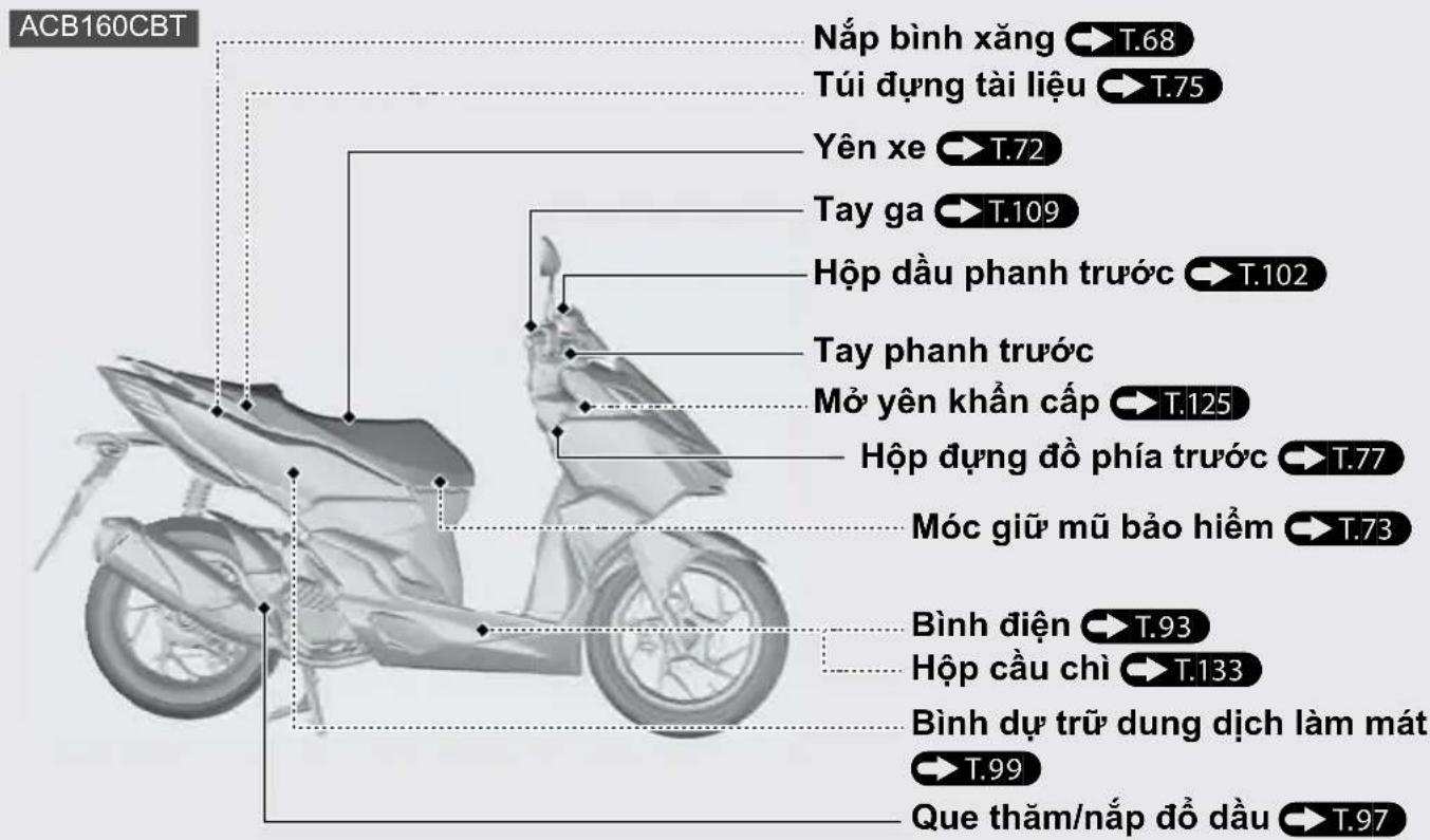 ACB160CBT Nắp bình xăng → T.68 Túi dựng tài liệu → T.75 Yên xe → T.72 Tay ga → T.109 Hộp đầu phanh trước → T.102 Tay phanh trước Mở yên khẩn cấp → T.125 Hộp dựng đồ phía trước → T.77 Móc giữ mũ bảo hiểm → T.73 Bình điện → T.93 Hộp cầu chỉ → T.133 Bình dự trữ dung dịch làm mát → T.99 Que thăm/nắp đồ đầu → T.97